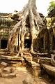 Angkor 17